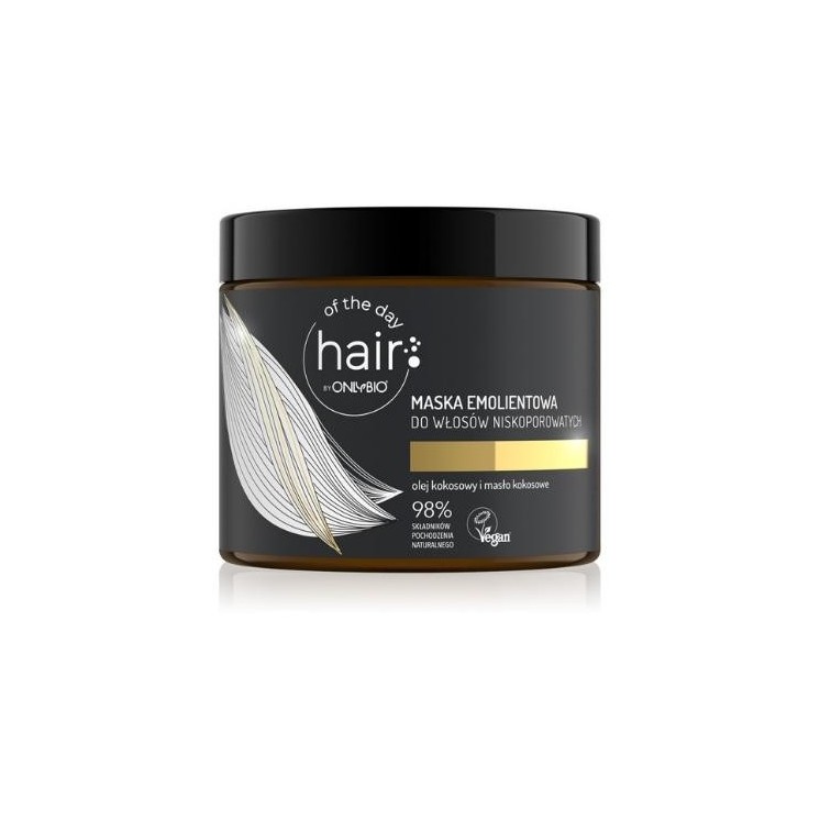 ONLYBIO Hair of the day Пом'якшувальна маска для волосся з низькою пористістю 400 мл