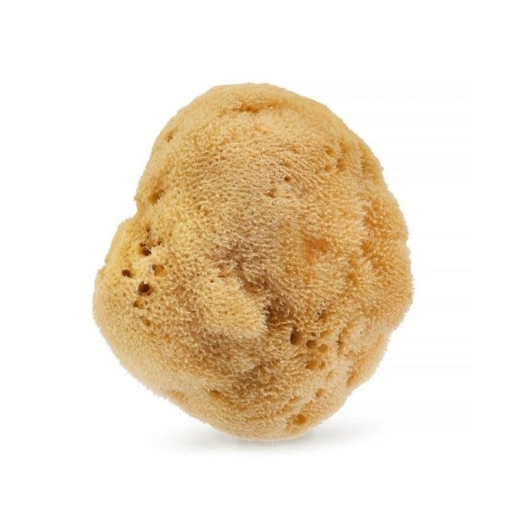 HHUUMM natuurlijke spons 01F bruin